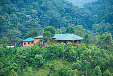 Gorilla Valley Lodge