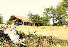 Kimondo Kusini Camp