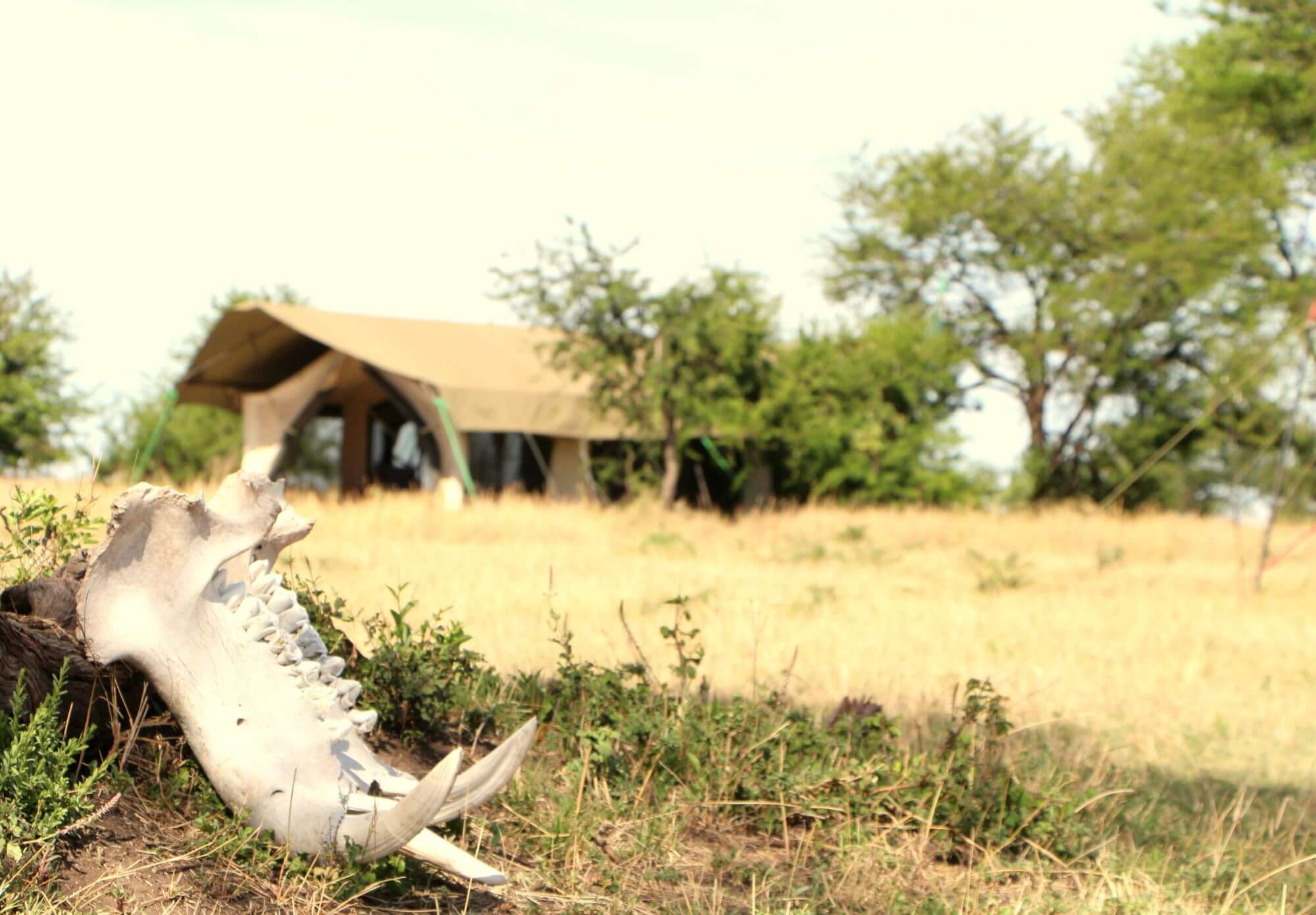 Kimondo Kusini Camp