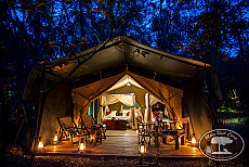 Mara Bush Camp