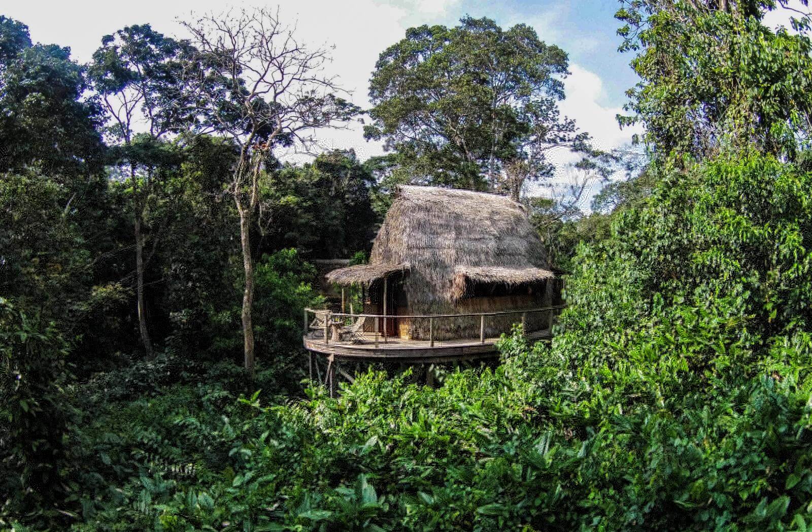 Ngaga Camp