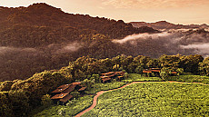 One and only Nyungwe House