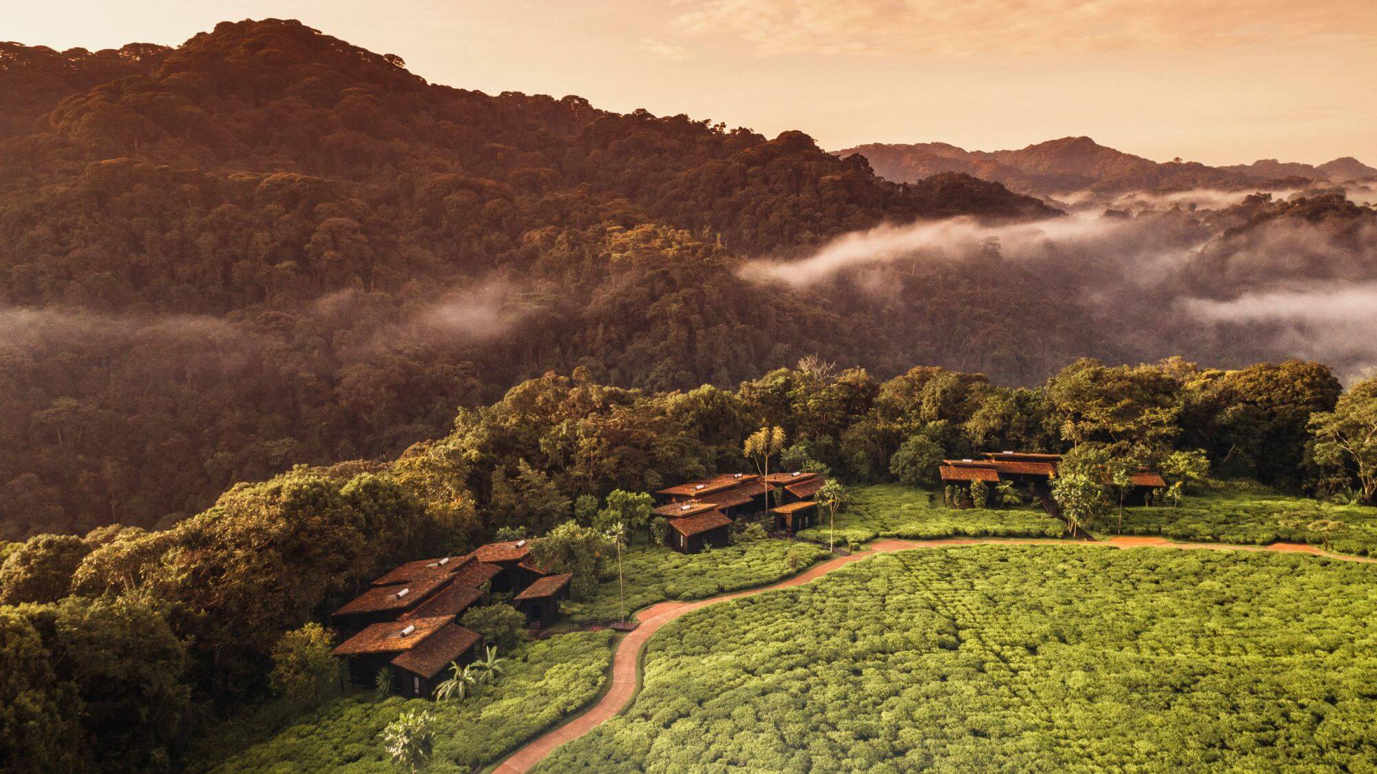One and only Nyungwe House