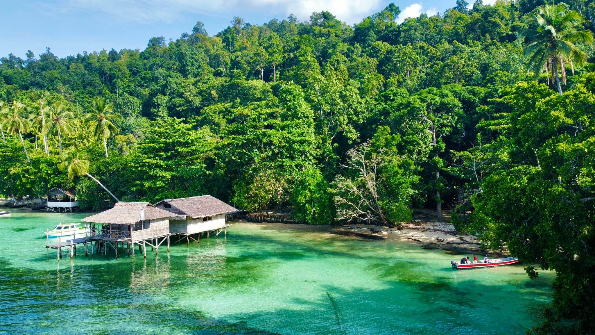 PapuArts Alternative Stay