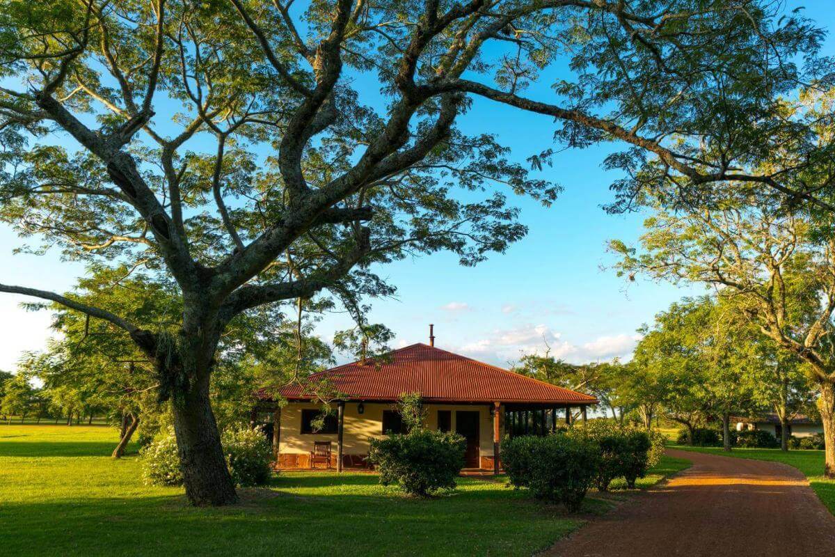 Rincon del Socorro