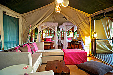Samburu Intrepids