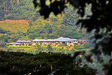 Silverback Lodge