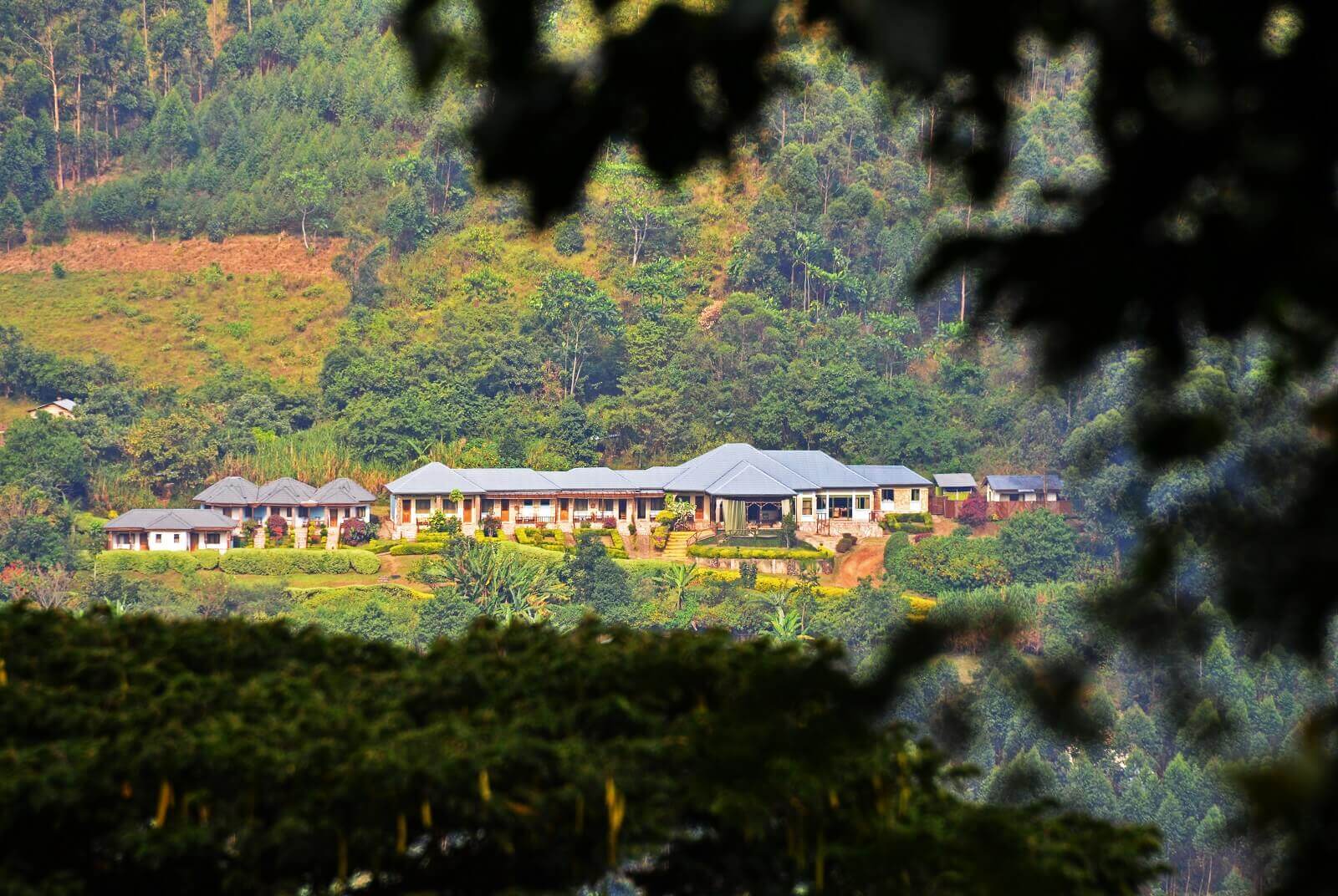 Silverback Lodge