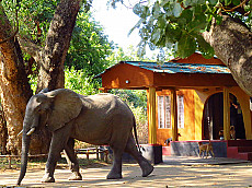 Zikomo Safari Camp