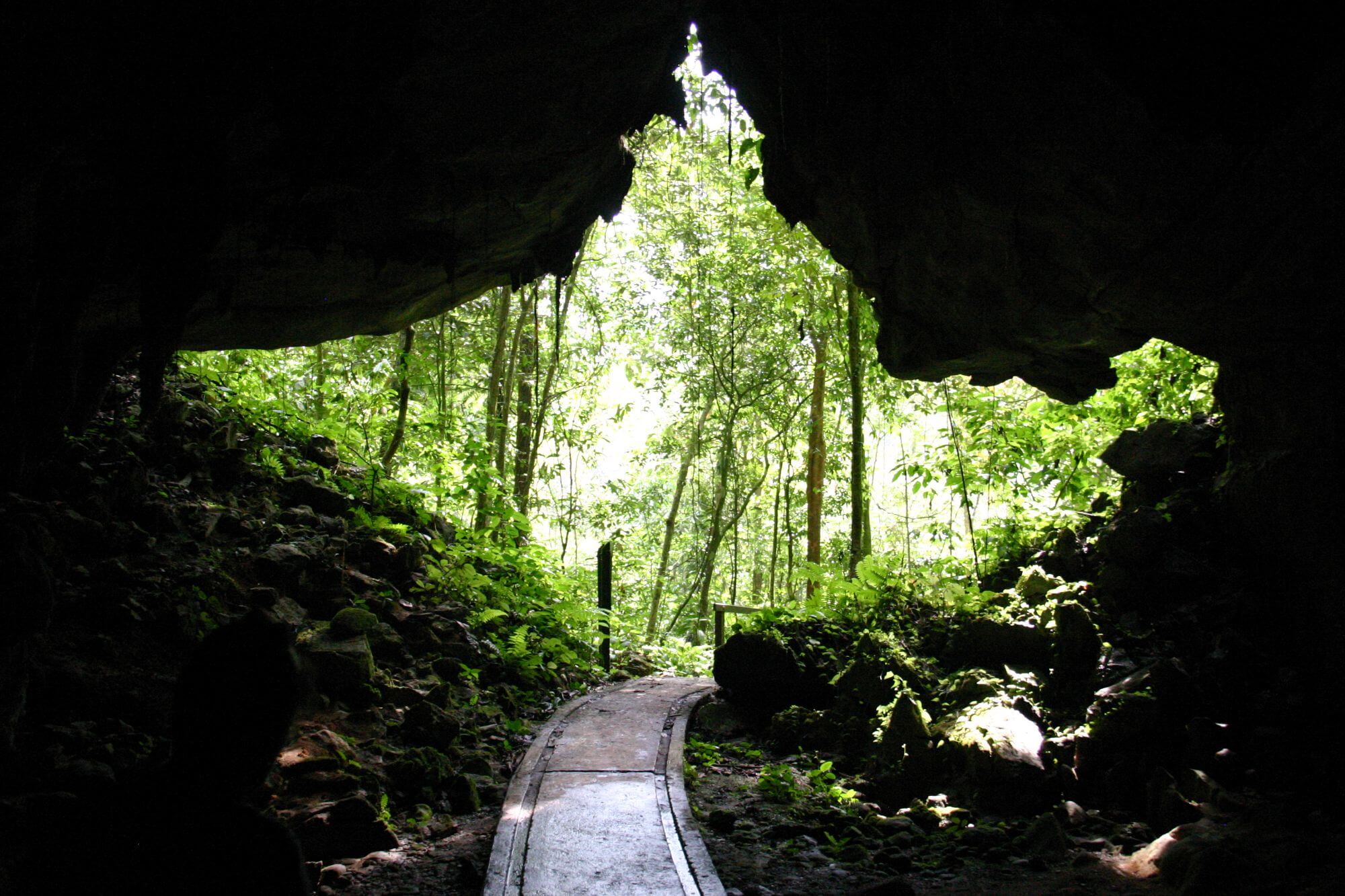 Gunung Mulu Nationalpark image