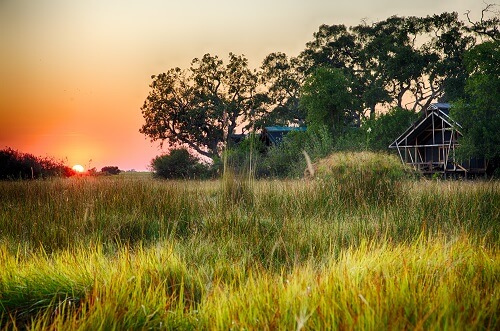 Wieder Maun image