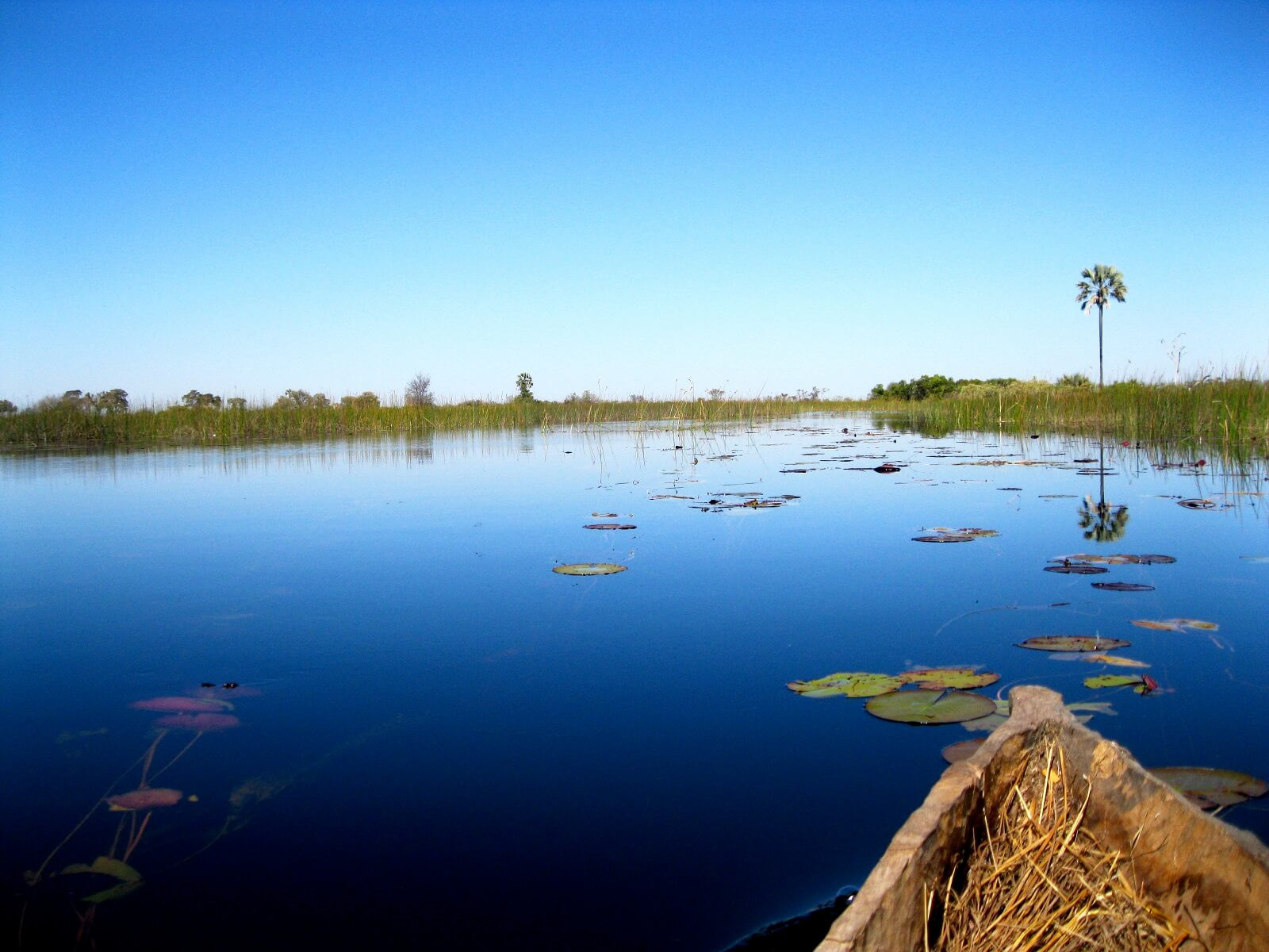 Botswana Superlativ Safari: Okavango und Kalahari image