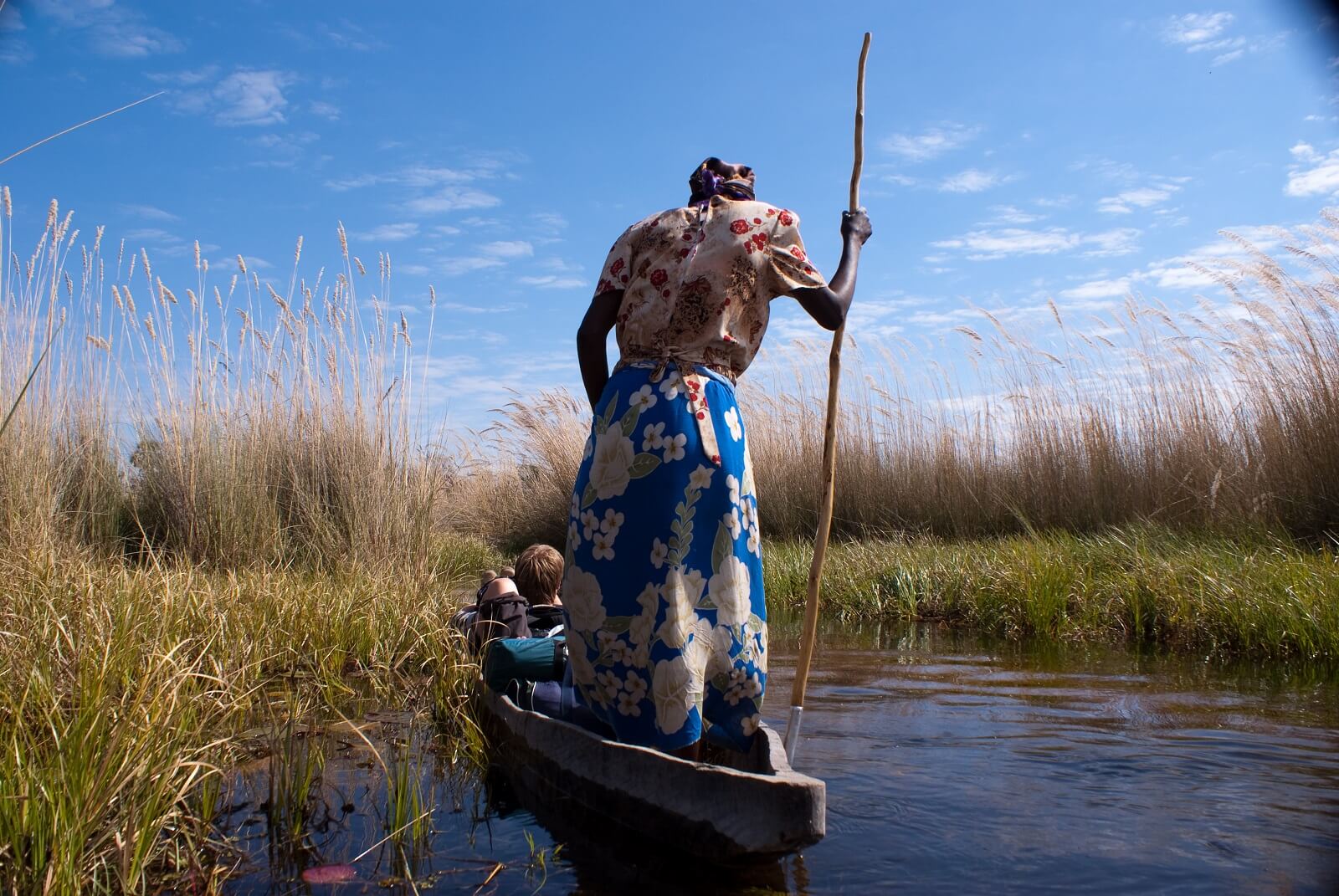 Moremi Wildlife Reserve image