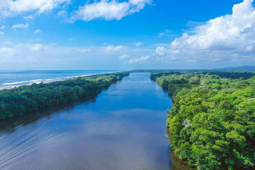 Tortuguero image