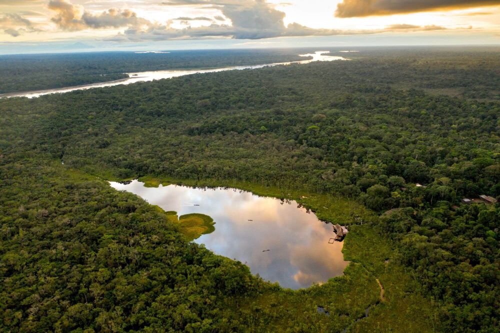 Expedition Amazonia image