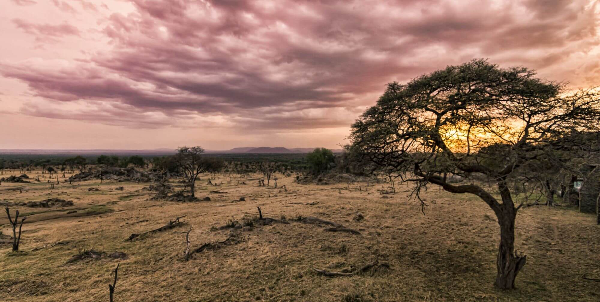 Arusha image
