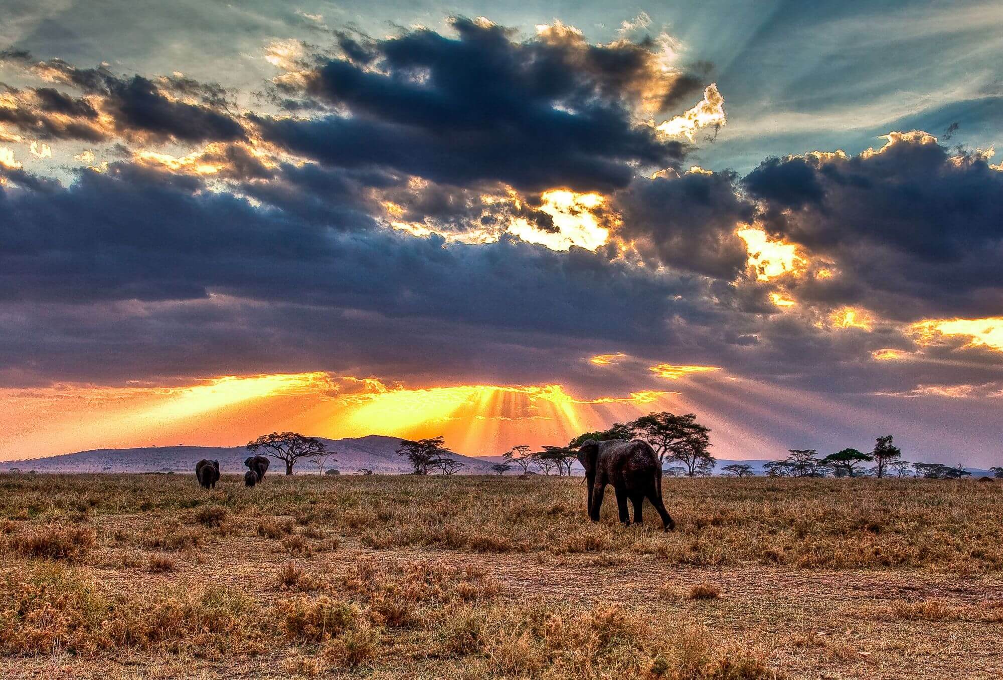 Arusha image