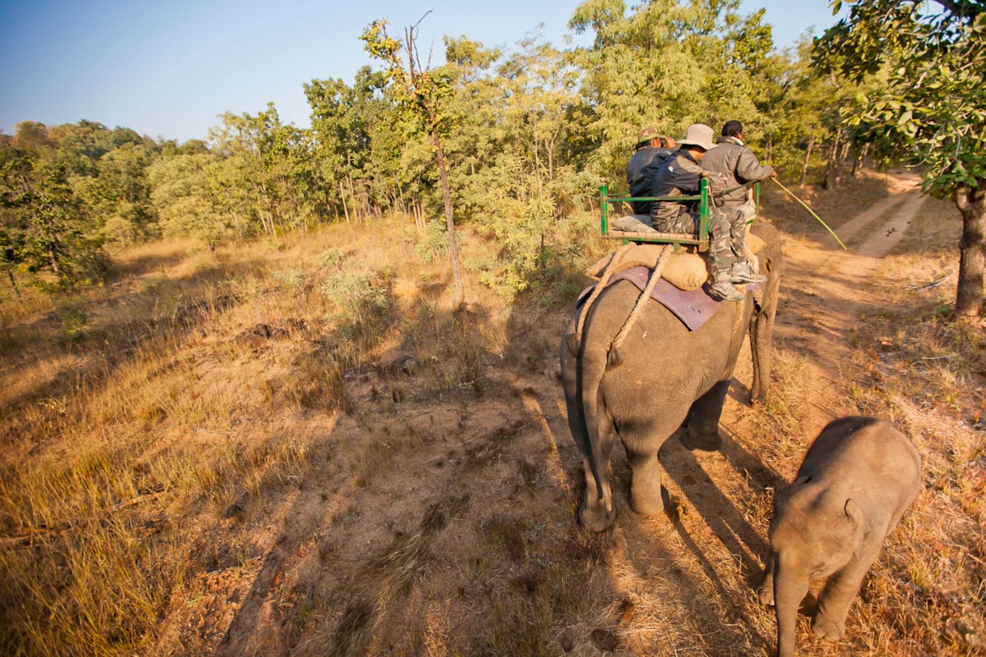 Satpura Nationalpark image