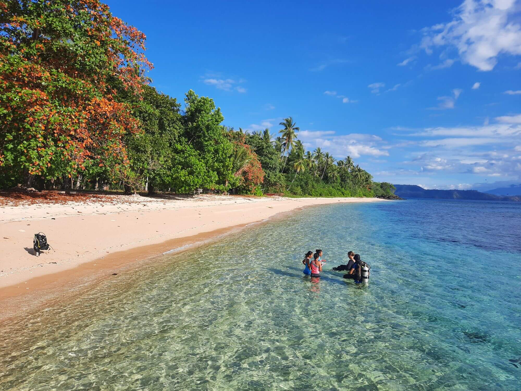 Faszinierende Unterwasserwelt Sulawesi image