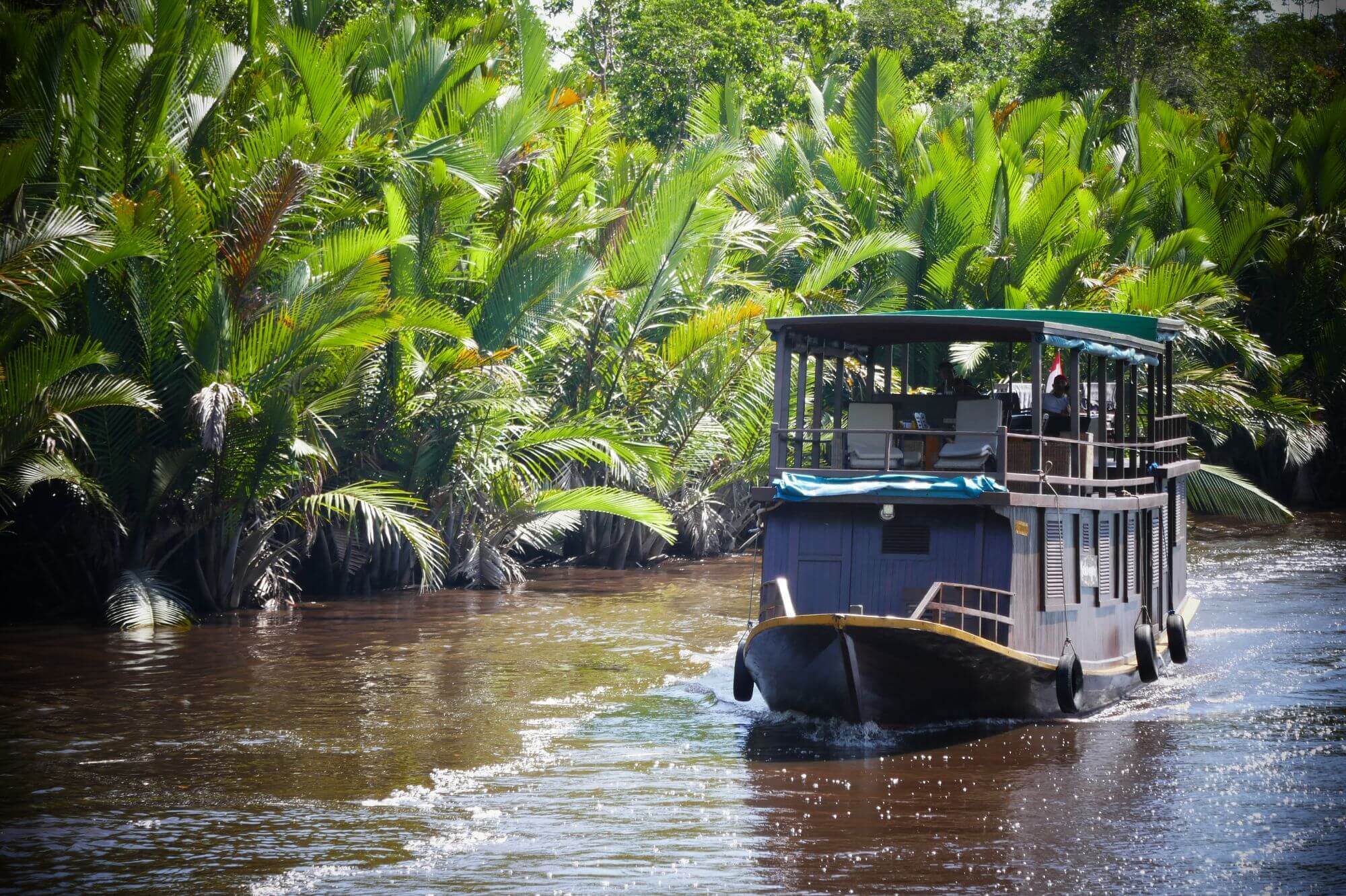 Auf Klotok-Reise im Tanjung Puting Nationalpark image