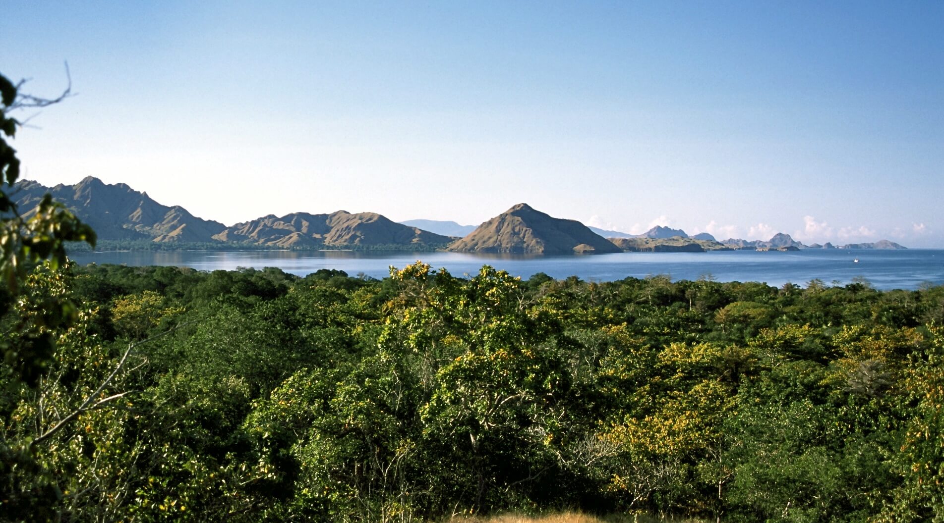 Paradies Komodo image