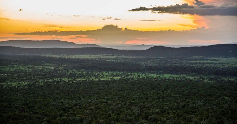 Jambo Kenia! image
