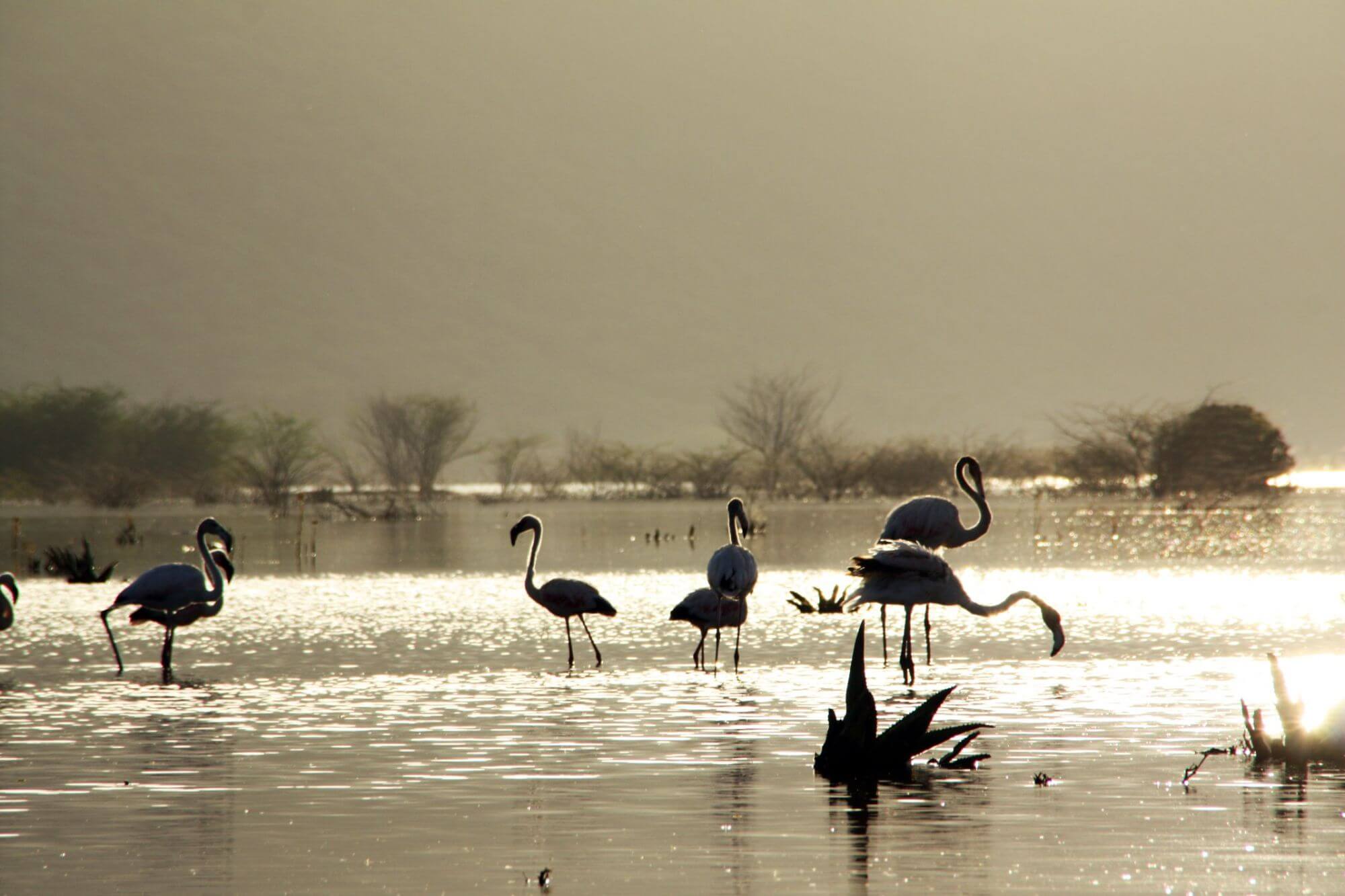 Seen im Rift Valley image