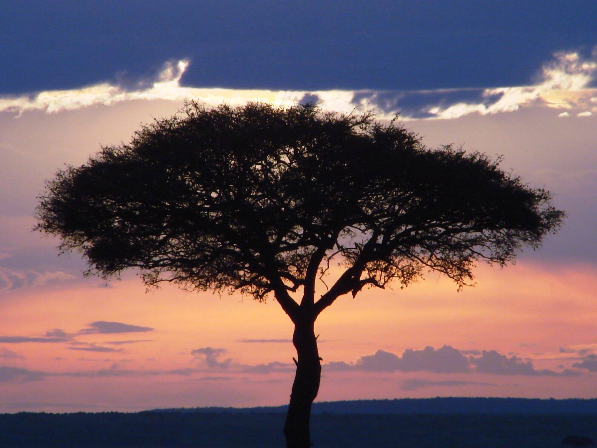 Lake Nakuru image