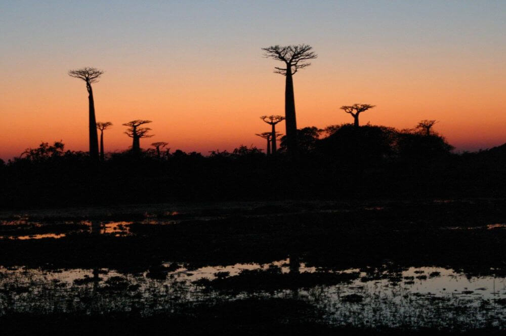Die Menabe Region image