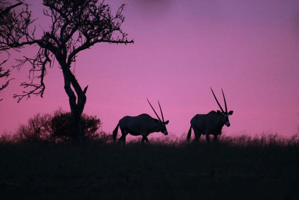 Ankunft in Windhoek image