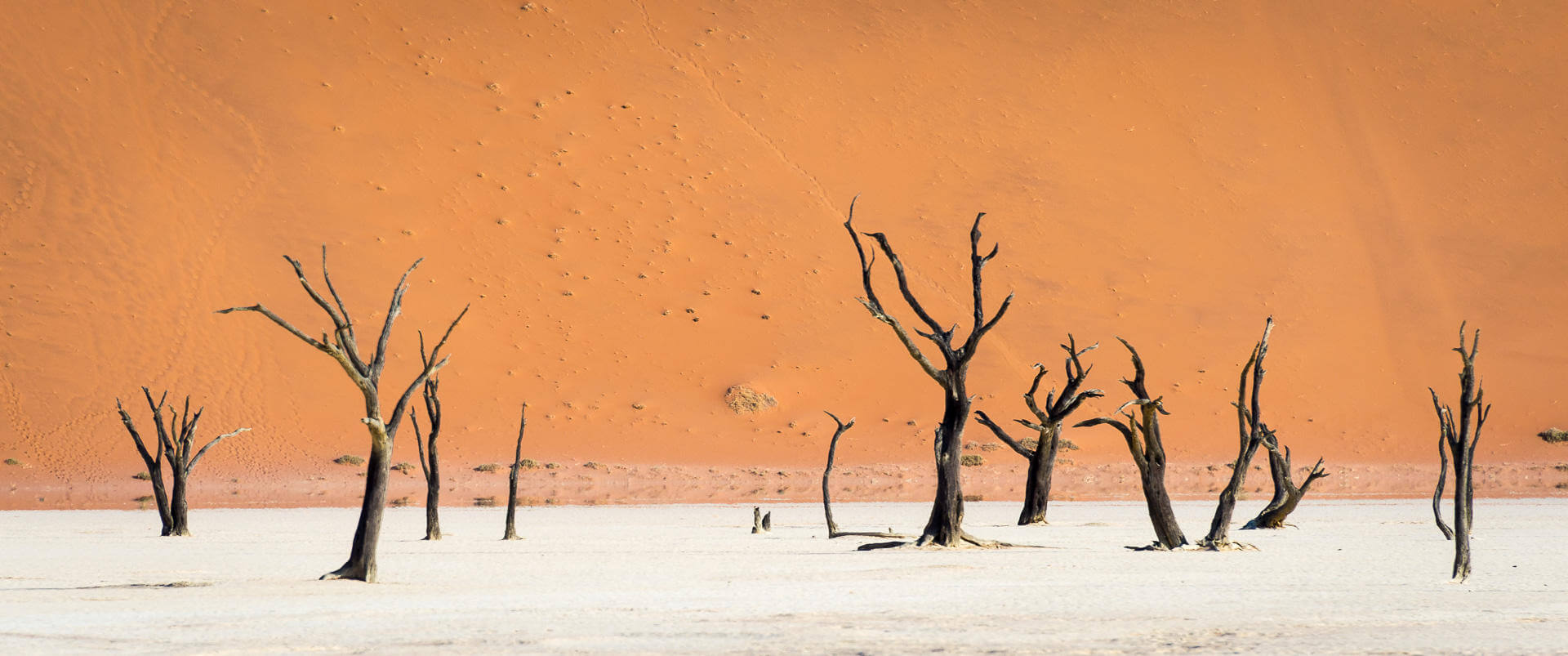 Auf den höchsten Sanddünen der Welt image