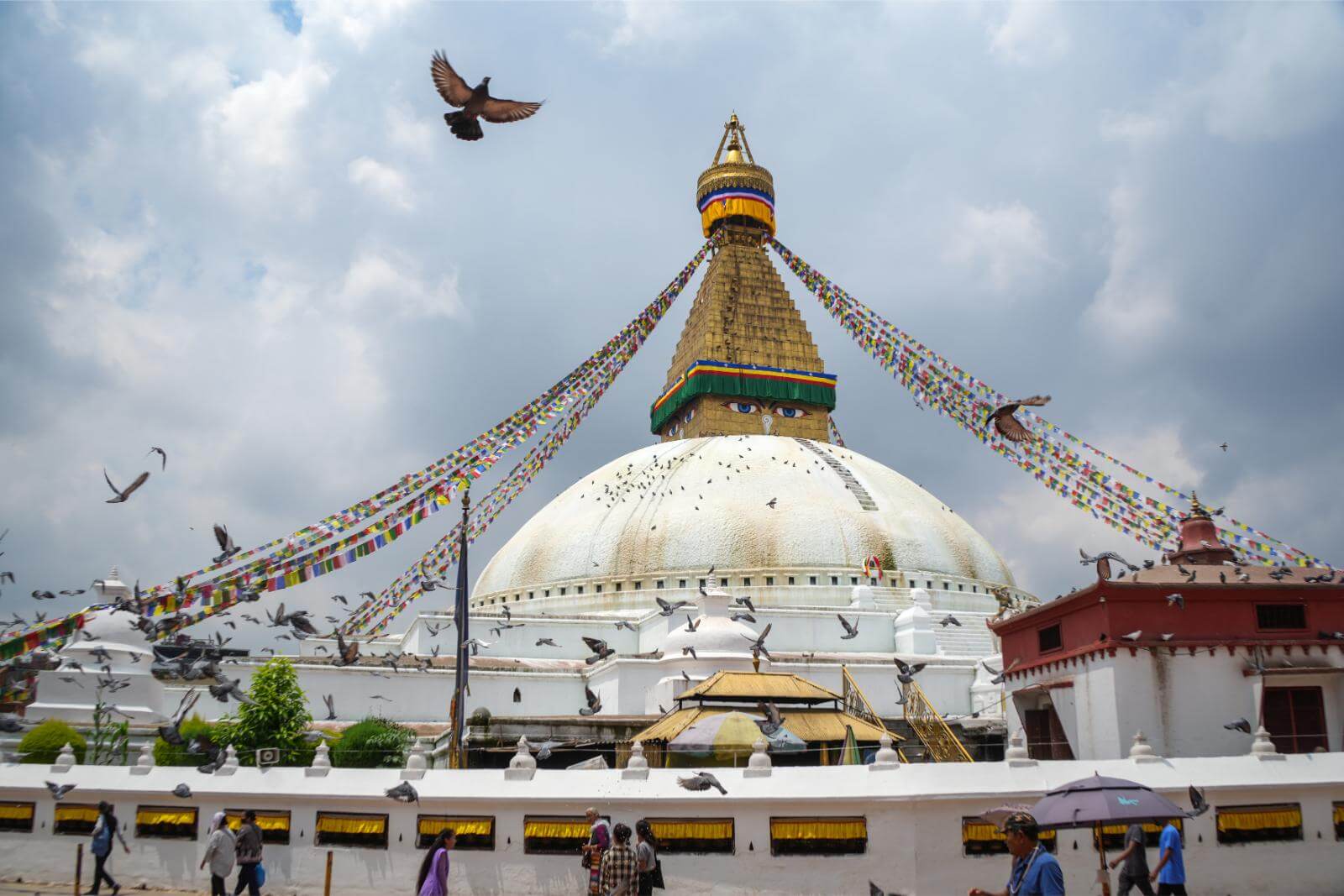 Zurück in Kathmandu image
