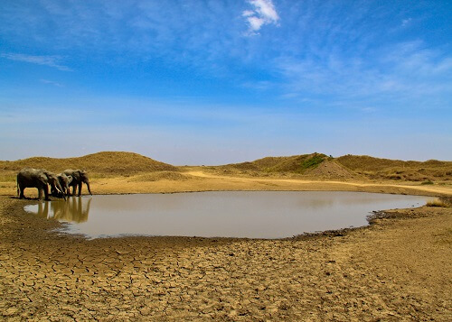 Lake Manyara Nationalpark image