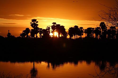 Ankunft im Afrikas größten Reservat image