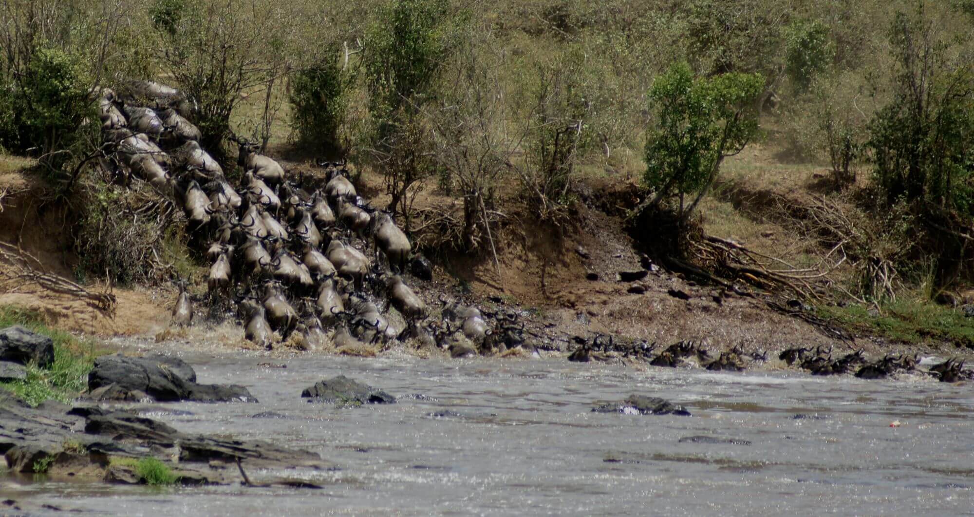 Serengeti Seronera image
