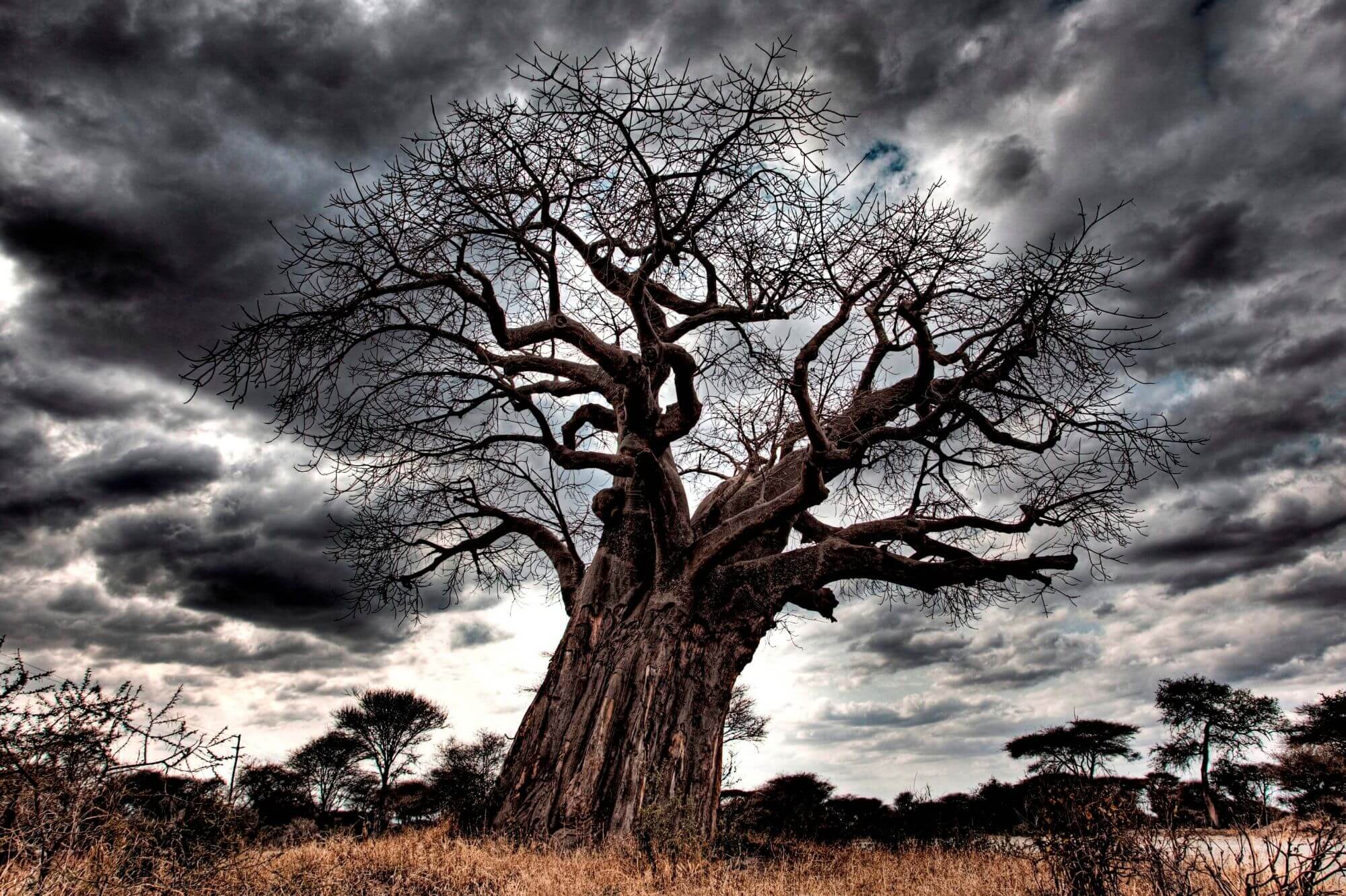 Arusha image