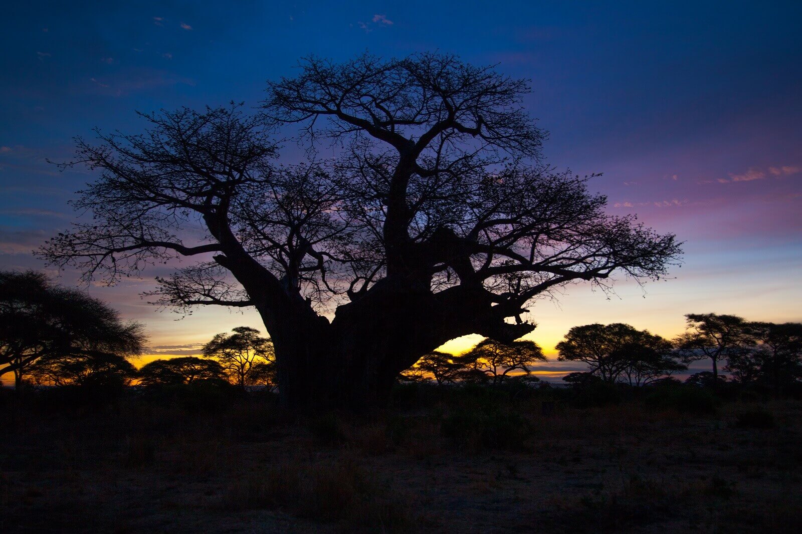Tarangire Nationalpark image