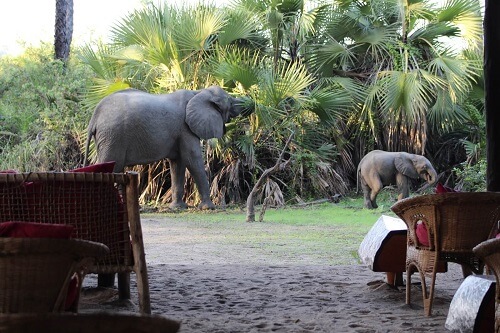 Ankunft in der Seelandschaft des größten Wildparks in Afrika image