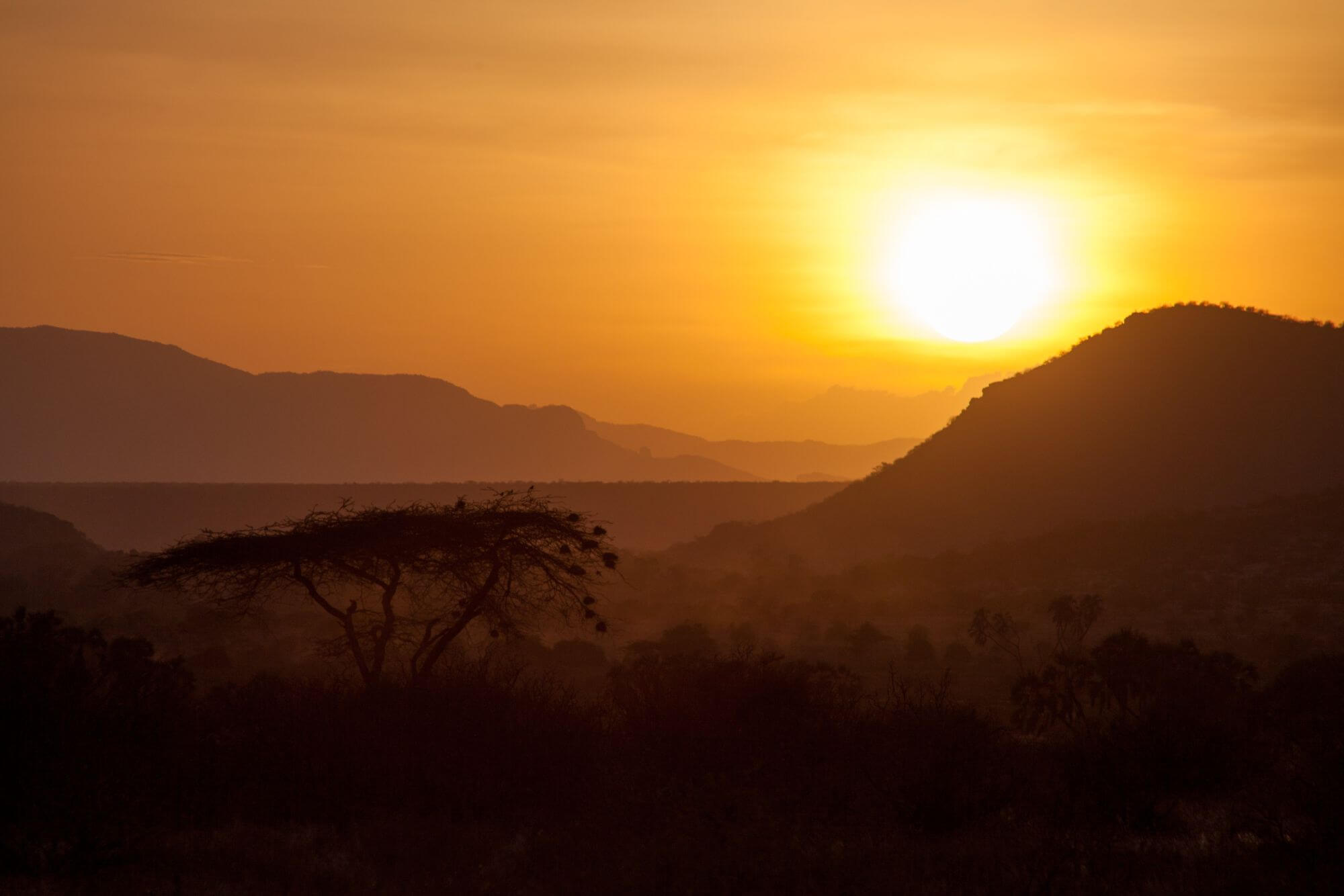 Tsavo Ost image